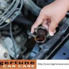 Business 3 image TIGER TUNE CAR CARE RWC in Frankston VIC