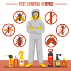 Business 4 image TOM'S PEST CONTROL ADELAIDE Pest Control in Adelaide SA