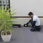 Business 1 image TOM'S PEST CONTROL NORWOOD Pest Control in Norwood SA