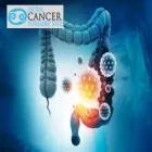 Business 1 image TOP COLON CANCER TREATMENT HOSPITAL OF INDIA Hospital in Indooroopilly QLD