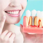 Business 3 image TOTALLY TEETH ENDEAVOUR HILLS Doctors-Medical Practitioners in Melbourne VIC