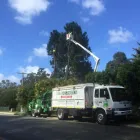 Business 4 image TREE AESTHETICS Lawn Mowing Services in Hazelmere WA