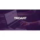 Business 1 image TRIDANT PTY LTD Management Consultants in Docklands VIC