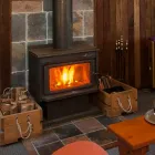 Business 6 image TURKEY'S NEST RAINFOREST COTTAGES B&B - Bed & Breakfast Accommodation in Mt Glorious QLD