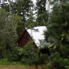 Business 2 image TURKEY'S NEST RAINFOREST COTTAGES B&B - Bed & Breakfast Accommodation in Mt Glorious QLD