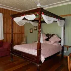 Business 3 image TURKEY'S NEST RAINFOREST COTTAGES B&B - Bed & Breakfast Accommodation in Mt Glorious QLD