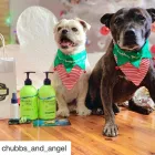 Business 1 image UNDERWATER DOGS Pet Supplies in Manly NSW