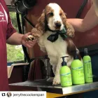 Business 7 image UNDERWATER DOGS Pet Supplies in Manly NSW