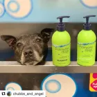 Business 2 image UNDERWATER DOGS Pet Supplies in Manly NSW