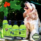 Business 3 image UNDERWATER DOGS Pet Supplies in Manly NSW