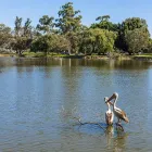 Business 2 image WELSH REAL ESTATE Real Estate Agents in Cloverdale WA