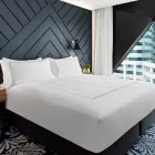 Business 4 image WEST HOTEL SYDNEY, CURIO COLLECTION BY HILTON Lodging in Sydney NSW