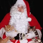 Business 3 image WEST TOOWOOMBA VETERINARY SURGERY Vets & Veterinary Surgeons in Toowoomba QLD