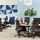 Business 1 image WEWORK 50 CARRINGTON ST WeWork in Sydney NSW