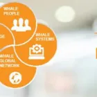 Business 2 image WHALE LOGISTICS Transport Companies & Freight Forwarding Agents in Caringbah NSW