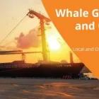 Business 7 image WHALE LOGISTICS Transport Companies & Freight Forwarding Agents in Caringbah NSW