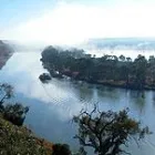 Business 2 image WHITE HOUSEBOATS Houseboat Rental Service in Mannum SA