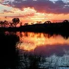 Business 5 image WHITE HOUSEBOATS Houseboat Rental Service in Mannum SA