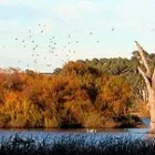 Business 8 image WHITE HOUSEBOATS Houseboat Rental Service in Mannum SA