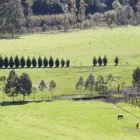 Business 2 image WISEMANS FERRY REALTY Real Estate Listing Services in Sydney NSW