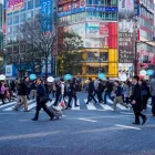 Business 1 image WOVEON Computer Software in Macquarie Park NSW