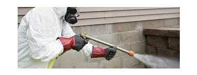 Business 3 image ACE PEST CONTROL BRISBANE Pest Inspection in Brisbane QLD