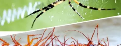 Business 3 image ACE PEST SPIDERS CONTROL MELBOURNE Pest Control in Melbourne VIC