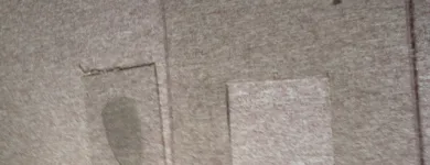 Business 2 image ADELAIDE CARPET SERVICE Carpet & Carpet Tiles Wholesalers & Manufacturers in Adelaide SA