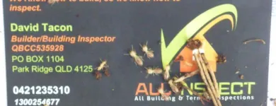 Business 3 image ALLINSPECT Pre-slae Inspections in Browns Plains QLD