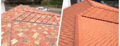 Business 4 image APT ROOFING PTY LTD Tile Roofing in Randwick NSW
