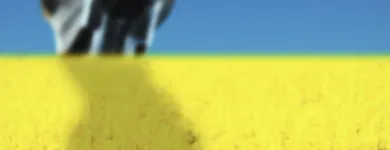 Business 3 image AUSCOL (WA) PTY LTD Recycling Services in North Fremantle WA