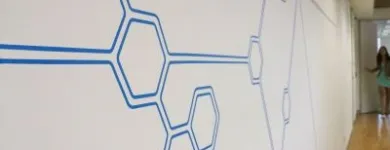 Business 1 image BE YOU NOT THEM Marketing Consultant in Manly NSW