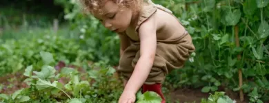 Business 1 image BLOSSOM MINI SCHOOL Child Care Centres in Brisbane QLD
