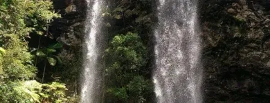 Business 1 image BUSHWACKER ECOTOURS & MORETON BAY ESCAPES Adventure Tours & Holidays in Brisbane QLD