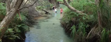 Business 2 image BUSHWACKER ECOTOURS & MORETON BAY ESCAPES Adventure Tours & Holidays in Brisbane QLD