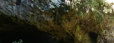 Business 7 image BUSHWACKER ECOTOURS & MORETON BAY ESCAPES Adventure Tours & Holidays in Brisbane QLD