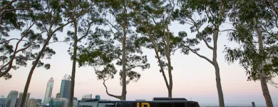 Business 4 image BUSTAMOVE PARTY BUSES Party Hire in Karrinyup WA