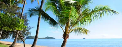 Business 1 image CAIRNS DISCOVERY TOURS Tours in Cairns QLD