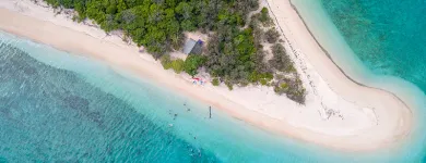 Business 4 image CAIRNS DISCOVERY TOURS Tours in Cairns QLD