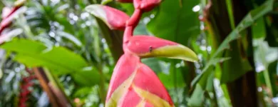 Business 5 image CAIRNS DISCOVERY TOURS Tours in Cairns QLD