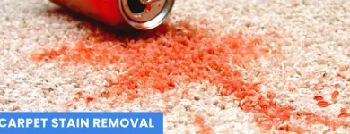 Business 3 image CITY CARPET CARE - CARPET CLEANING PERTH Carpet Cleaning & Protection in Perth WA
