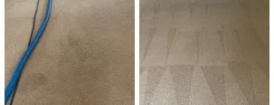 Business 4 image CITY CARPET CLEANING MELBOURNE Same Day Carpet Cleaning in Melbourne VIC