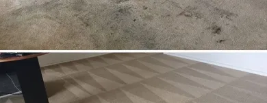 Business 5 image CITY CARPET CLEANING MELBOURNE Same Day Carpet Cleaning in Melbourne VIC