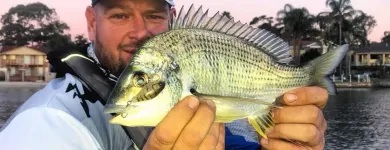 Business 2 image COMPLEAT ANGLER & CAMPING OUTDOORS GREGORY HILLS & HOBIE KAYAKS Outdoor Furniture in Gregory Hills NSW