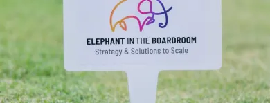 Business 2 image ELEPHANT IN THE BOARDROOM Website Design and Development in Melbourne VIC