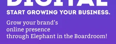 Business 7 image ELEPHANT IN THE BOARDROOM Website Design and Development in Melbourne VIC