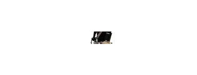 Business 1 image FORTE SCHOOL OF MUSIC BLACK FOREST Music Teacher in Black Forest SA