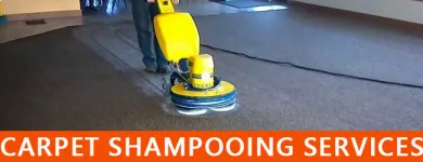 Business 1 image FRESH CARPET CLEANING PERTH Home Cleaning in Perth WA