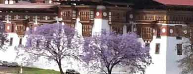 Business 1 image HIMALAYAN EXPERIENCE TRAVEL Travel Agents in Adelaide SA