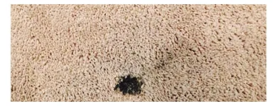 Business 3 image INVISIBLE CARPET REPAIR BRISBANE Business Supplies in Brisbane QLD